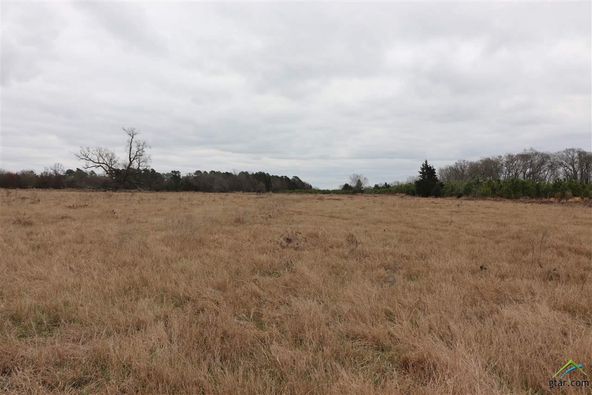 tbd cr 4114: tbd cr 4114, Pittsburg, TX 75686